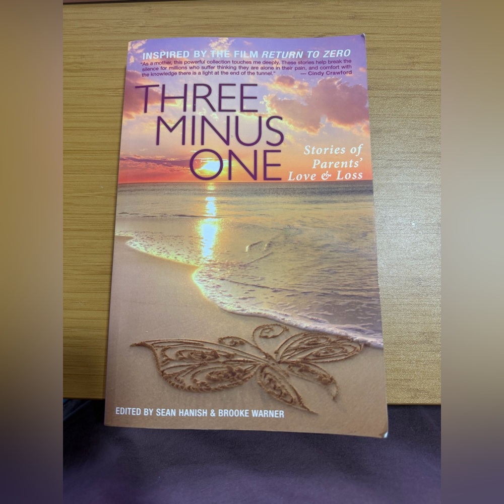 Three Minus One (Stories of Parents' Love & Loss) book